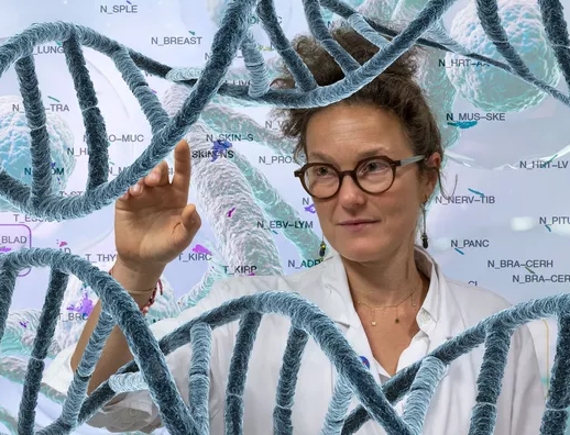 L’intelligence artificielle, un formidable outil pour sauver des vies